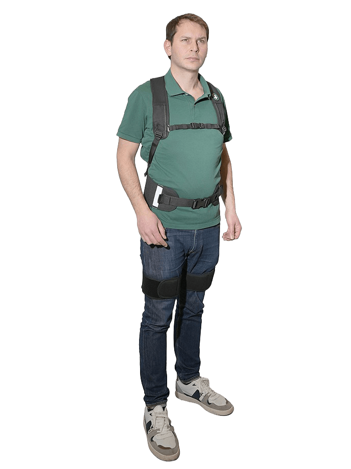 Vue de face de l’exosquelette dorsal Dominique