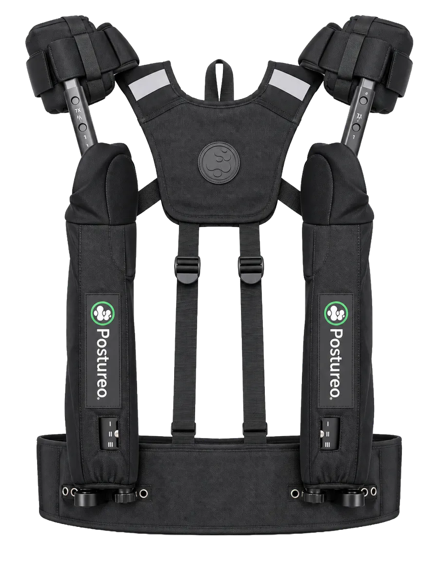 Exosquelette des bras Paulette sur fond clair